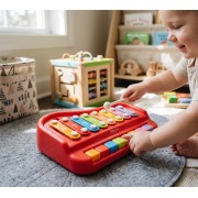 2-in-1 Piano & Xylophone Music Play Series Toy